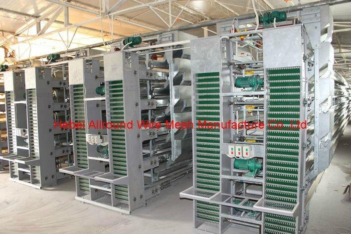 China automatic poultry equipment  2