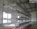 China automatic poultry equipment  3