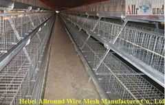 factory quality A type poultry cages 