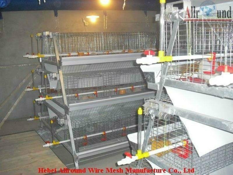 factory quality A type poultry cages  2
