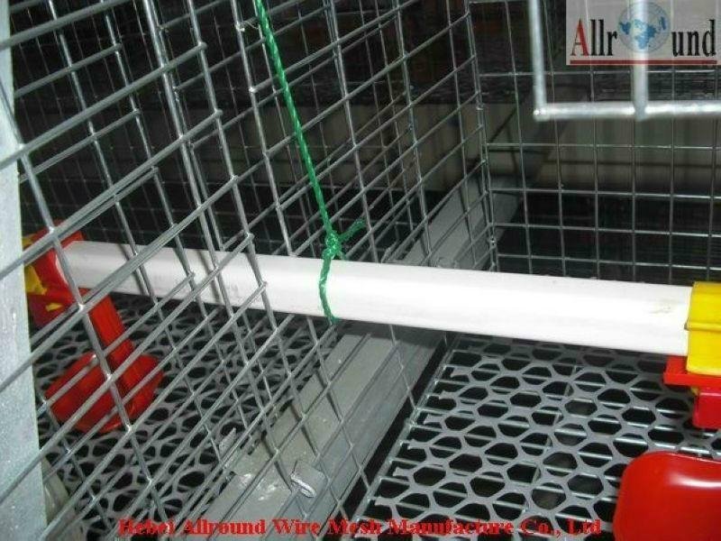 factory quality A type poultry cages  3