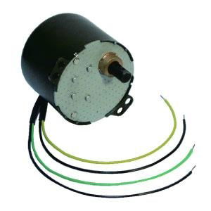 AC Synchronous Motor #6007