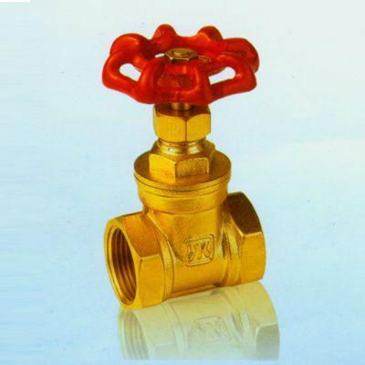 gate valve 4