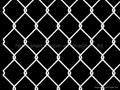 dutch wire mesh 4