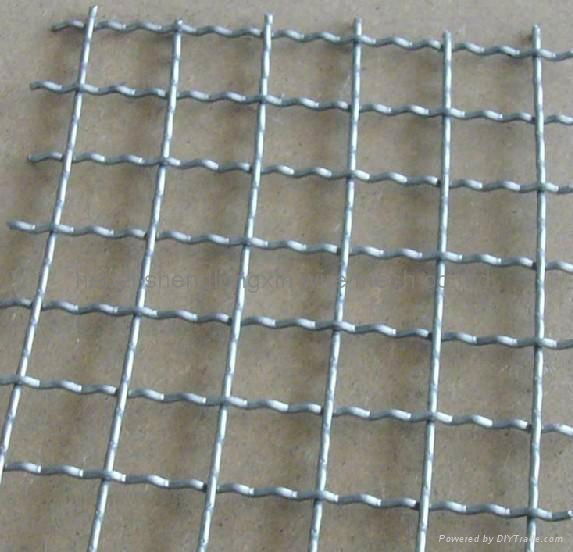 stainless steel crimped wire mesh