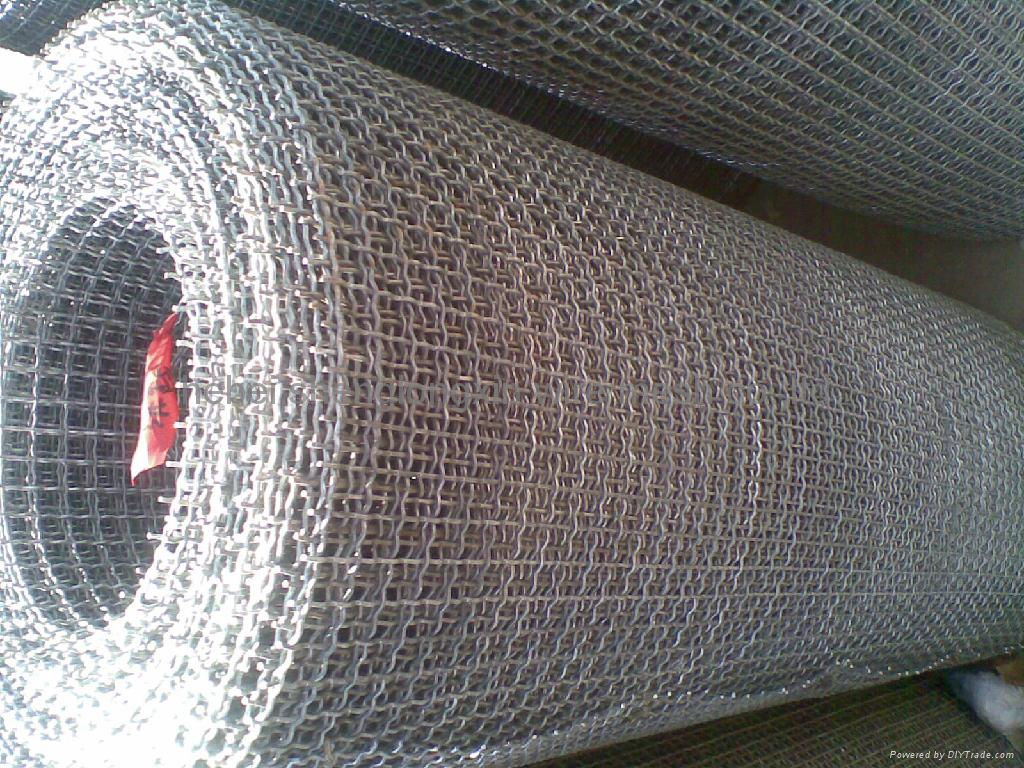 stainless steel crimped wire mesh 2