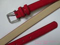 Fashion belt 1