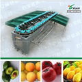 Tomato grading machine factory price