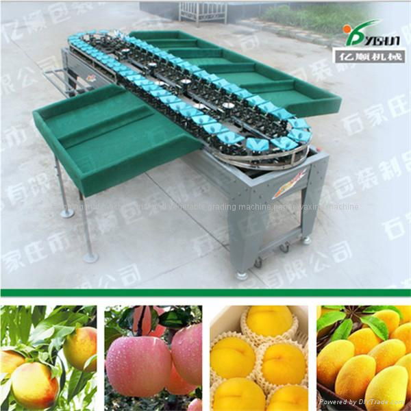 Tomato grading machine factory price 2