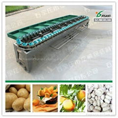 Mango grading machine factory price 