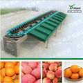 Mango grading machine factory price  2