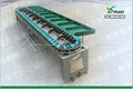 Mango grading machine factory price  4