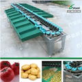 Automatic fruit weight grading machine