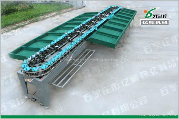 Automatic fruit weight grading machine 2