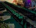 Automatic fruit weight grading machine 4