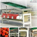 Cherry tomato sorting machine 1