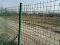Holland wire mesh 4