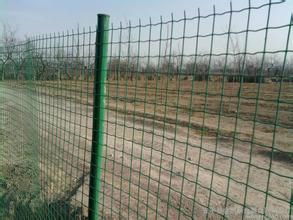 Holland wire mesh 4
