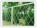 beautiful wire mesh 1