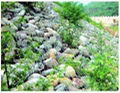 slope gabion protective mesh 5