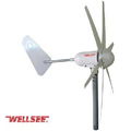 400W WELLSEE small wind turbine with 6