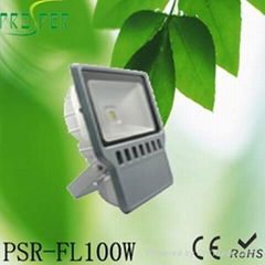 LED Flood Light