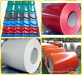 Prepainted steel coil