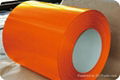 Prepainted steel coil 3