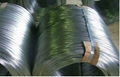 galvanized wire