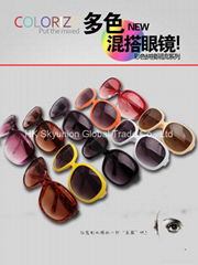 New Style Sunglasses