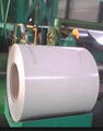 Prime Prepainted Galvanized Steel Coil 1