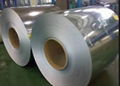 Galvanized Steel Sheet with 1mm