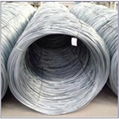 5.5mm Steel wire rod