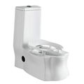 portable dual-use washdown toilet which