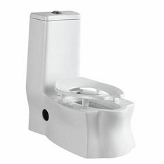 portable dual-use washdown toilet which hot sell in Asian and Middle East