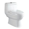 OEM washdown daul flush water closet with waxless and set screws in middle east 1