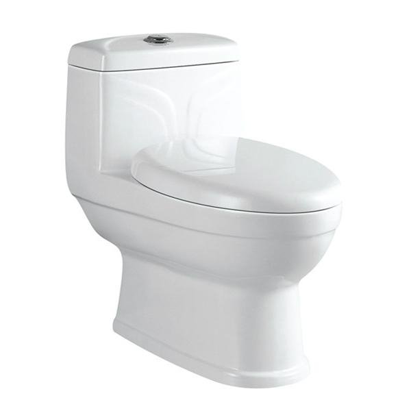 OEM washdown daul flush water closet with waxless and set screws in middle east