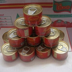 Good Quality Canned Tomato Paste 70g-4500g (FR70)