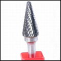 Carbide Burrs