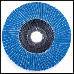 Flap Discs