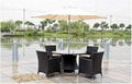 7Pcs Alu.&Rattan dining set