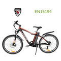 Middle Motor Electric Mountain Bike