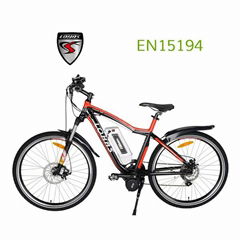 mountain e-bike