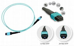 24 Core MPO Fiber Optic Patch Cord For Transmission 