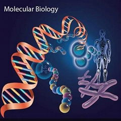 PCR Reagents/dATP/Pfu DNA Polymerse