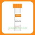 Catalog Peptide/Acetalin/Antiviral Peptides