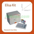 Elisa Kit/Human,Mouse,Rat,Monkey Elisa Kit/Monkey GAL3 (Galectin 3) ELISA Kit  1