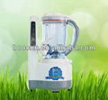 New Multi-functional juice blender BEK666 best juice extractor profes 1