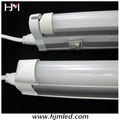 T8  LED Tube Light/LED Tube Lamp 4