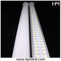 T8  LED Tube Light/LED Tube Lamp 5